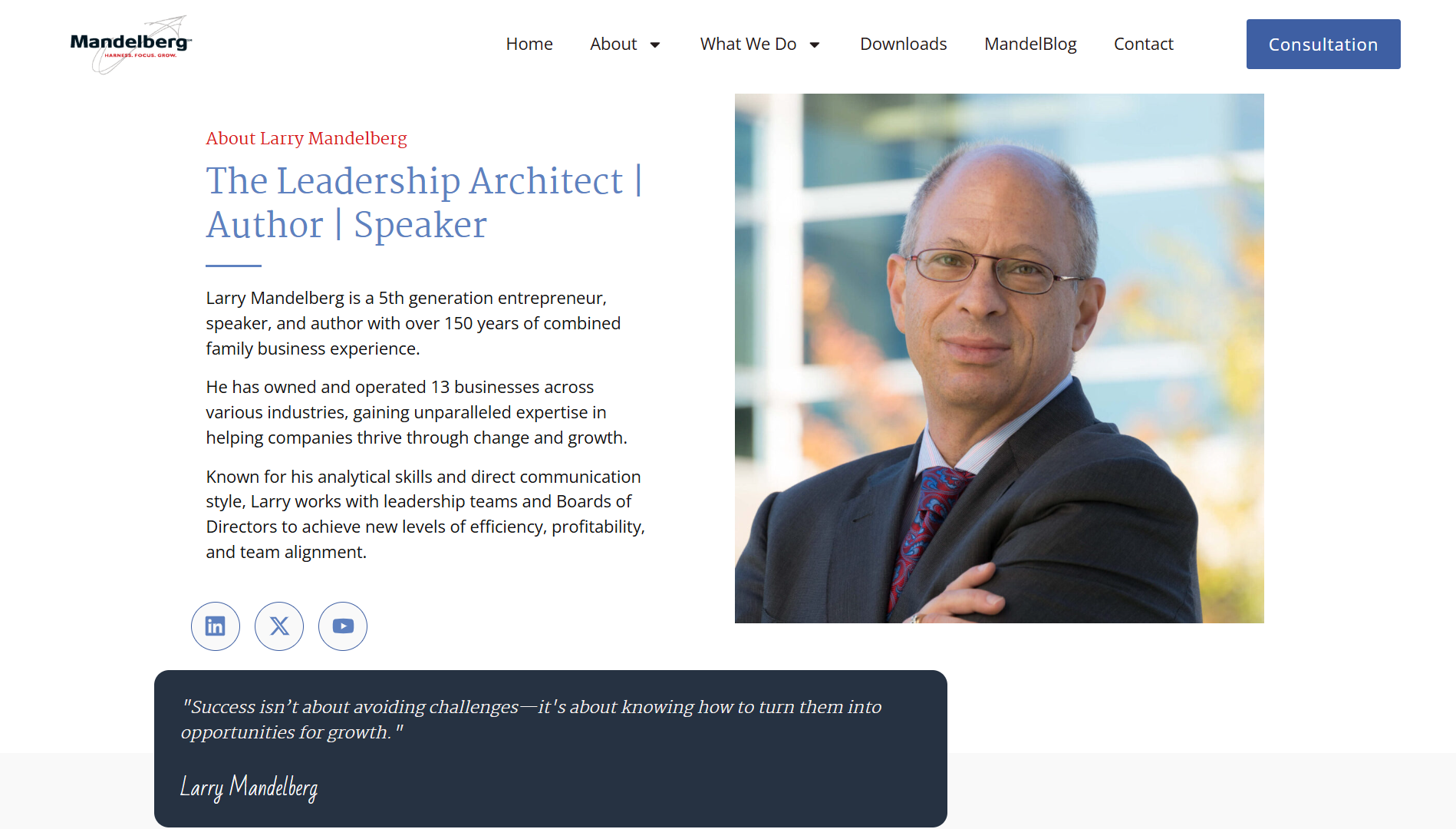 Mandelberg Consulting & Speaking